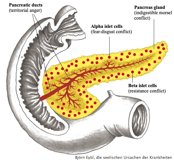 Vertrouw je Lichaam - Pancreas